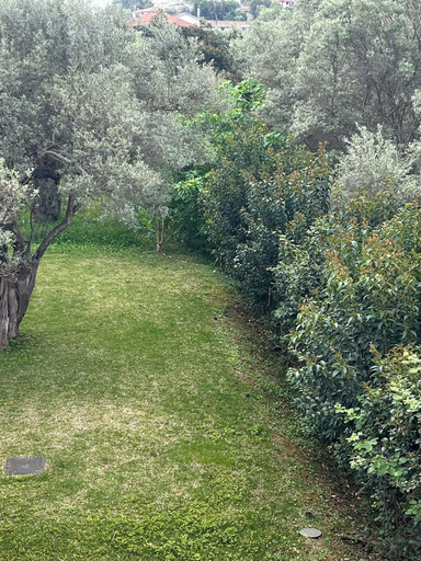 Property grounds 4, Ionian Bay Studios, Ionian Islands