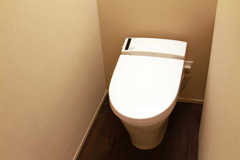 Bathroom 3, Fujiya, Kyōtanabe