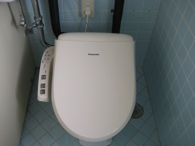 Bathroom 3, Towadako Backpackers, Towada