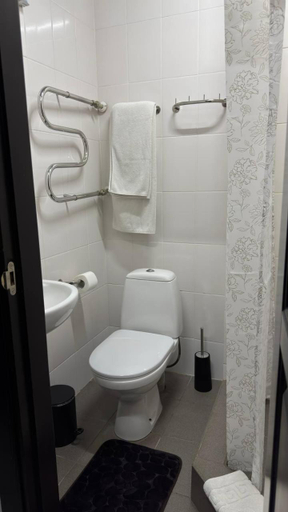 Bathroom 3, Hotel Dolynskiy, L'vivs'ka