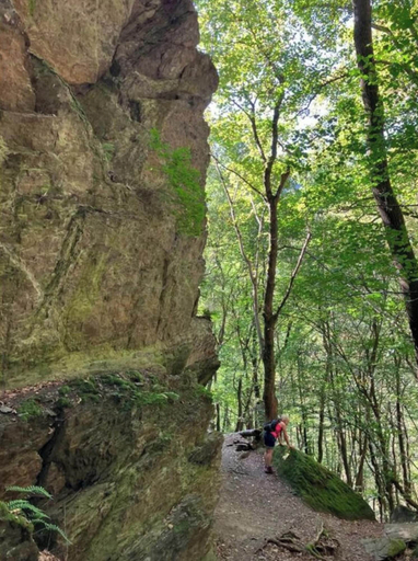 Property grounds 4, Rubin - Holiday Home Fores, Mayen-Koblenz