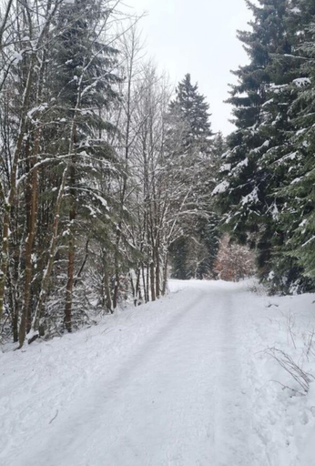 Snow and ski sports, Bergkultur Sauerland, Hochsauerlandkreis