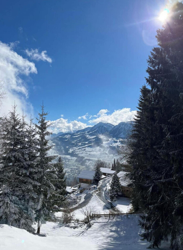 View from property, Bregenzerwald Holiday Home, Bregenz