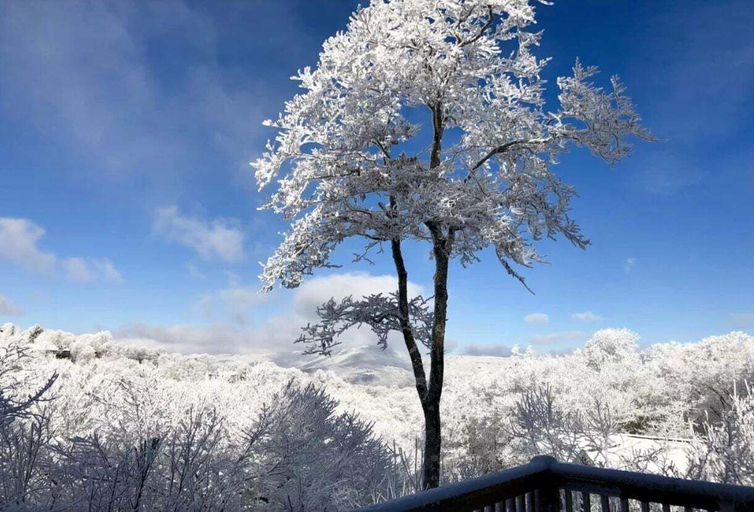 Interior 5, Bearadise Cabin - Pet Friendly, Great Views, Firepit and Yard on Sugar Mountain, 2 Car Garage, Avery