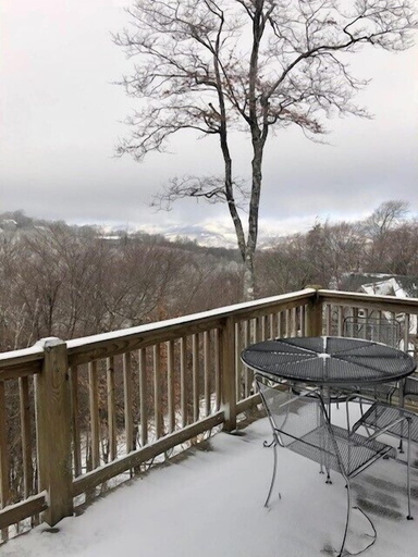 Interior 3, Bearadise Cabin - Pet Friendly, Great Views, Firepit and Yard on Sugar Mountain, 2 Car Garage, Avery