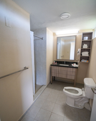 Bathroom 4, Punta Borinquen Resort