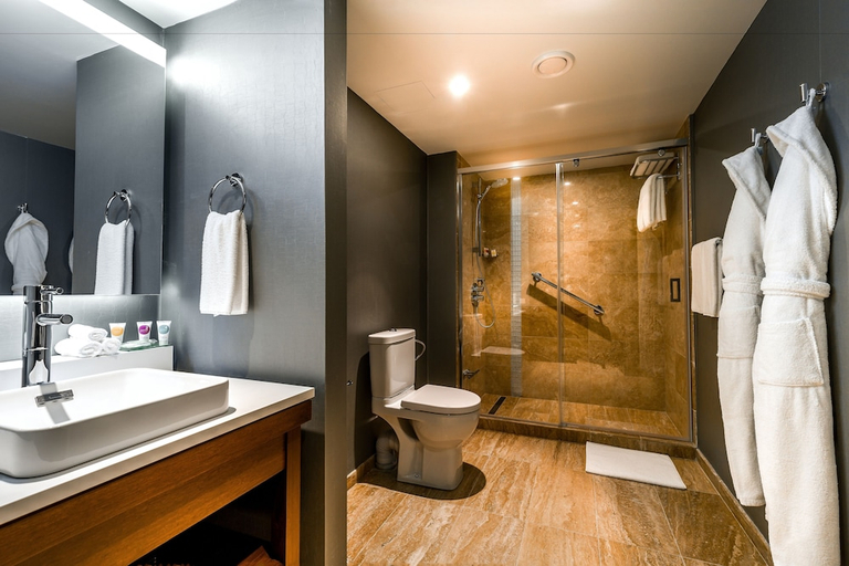 Bathroom 2, Hyatt Place Yerevan, Yerevan