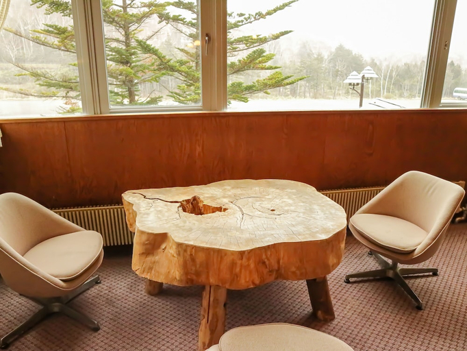 Public Area 2, Hotel Sankt Moritz Shiga, Yamanouchi