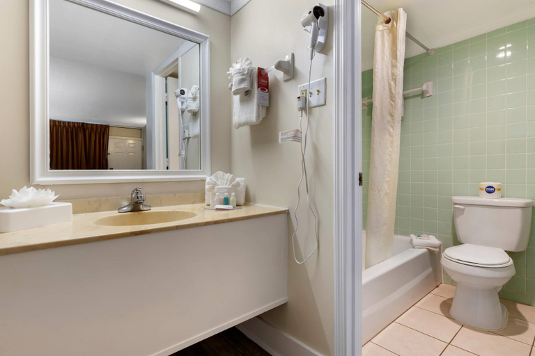 Bathroom 5, Econo Lodge Conway Central, Horry