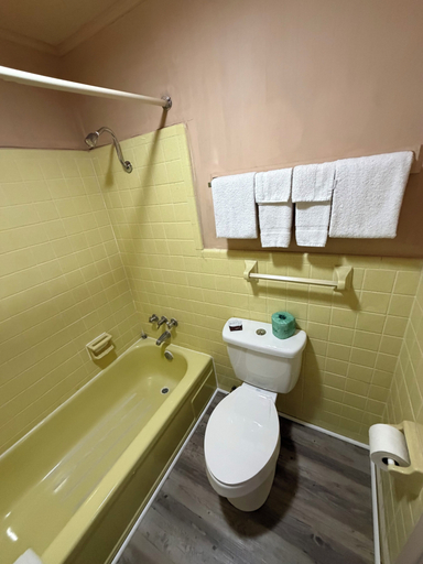 Bathroom 4, Scottish Inn & Suites, Houston