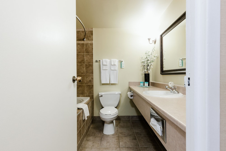 Bathroom 3, Welcominns Hotel Ottawa, Ottawa