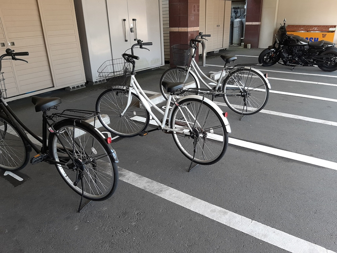 Others 5, HOTEL AreaOne Wadayama, Asago