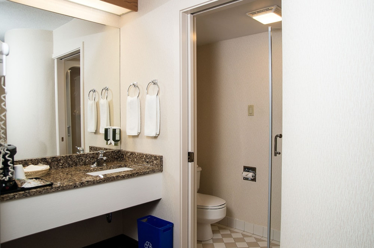 Bathroom 4, Slumber Inn, Kings