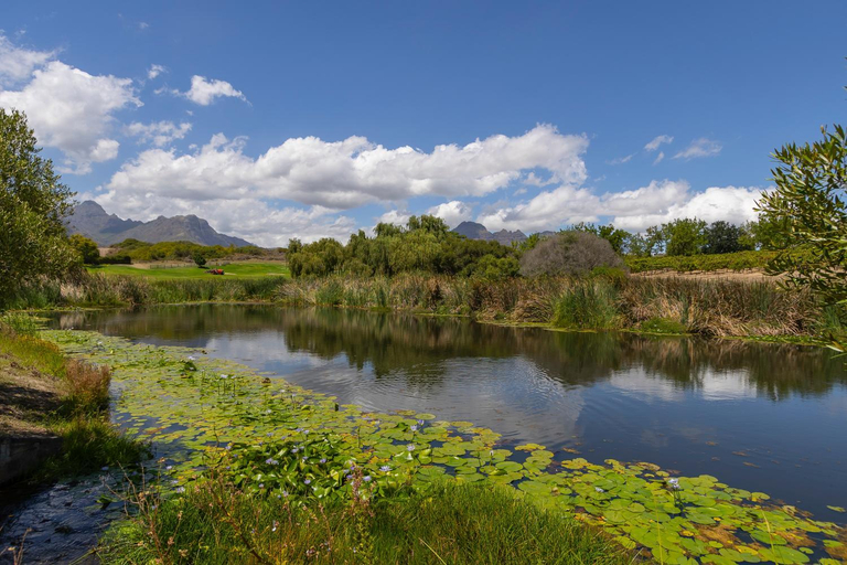 Others 5, Winelands Golf Lodges 15, Cape Winelands