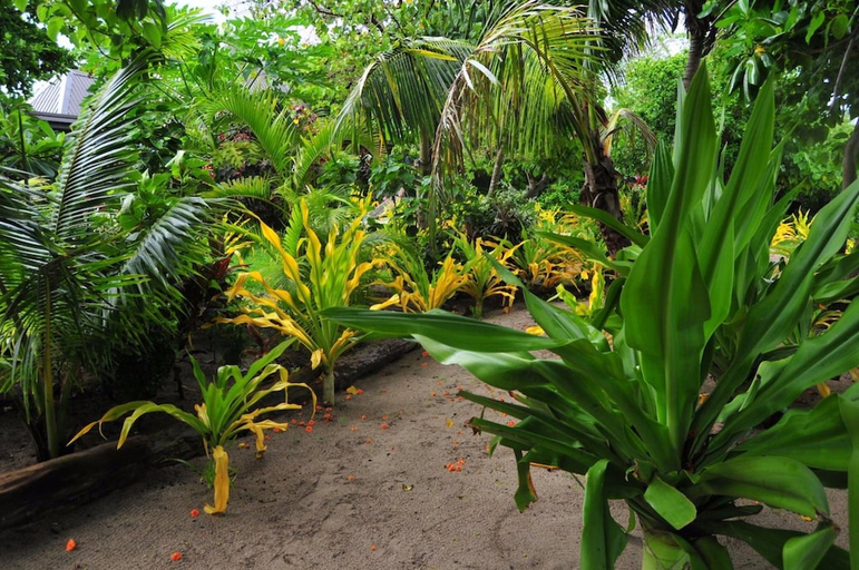 Public Area, Blue Lagoon Beach Resort, Ba