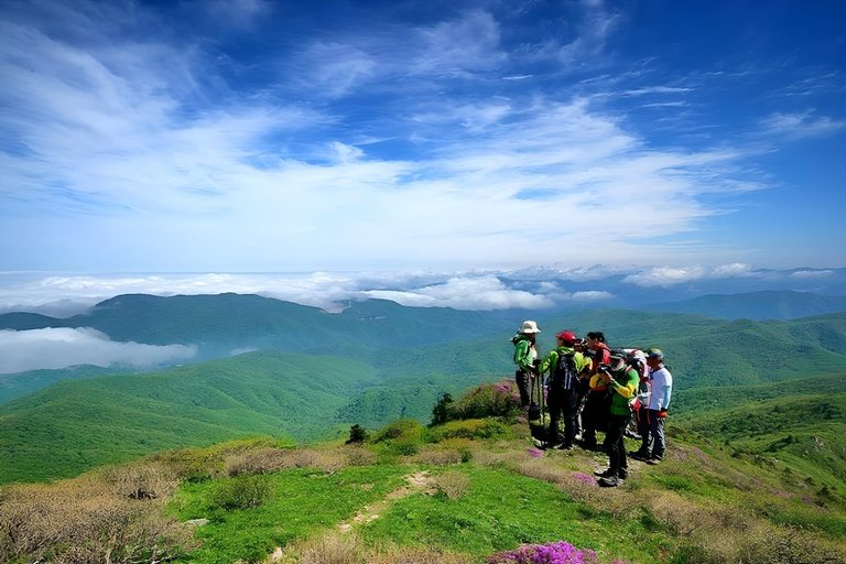 Others 4, Gangwon Gombaeryeong Evergreen, Inje