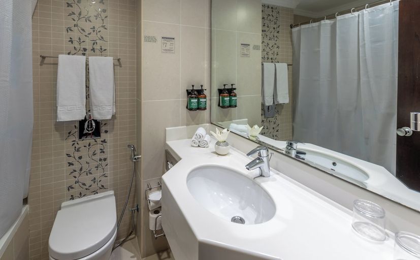 Bathroom 3, Petra Guest House, Wadi Musa