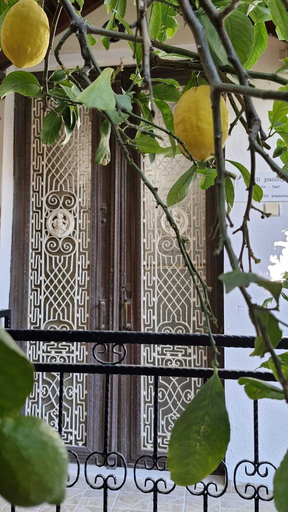 Others 2, Siirli Pansiyon, Seferihisar