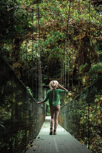 Hiking 4, Hotel El Rey Monteverde Downtown, Puntarenas