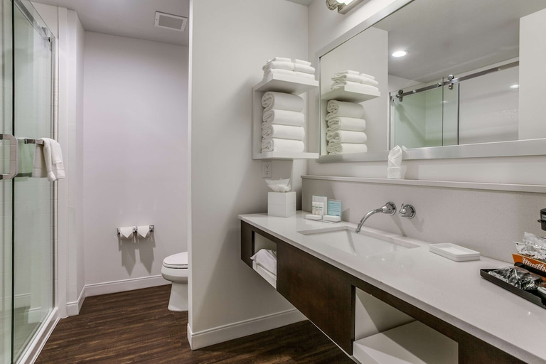 Bathroom 3, Hampton Inn & Suites North Dallas Central Expy, Dallas