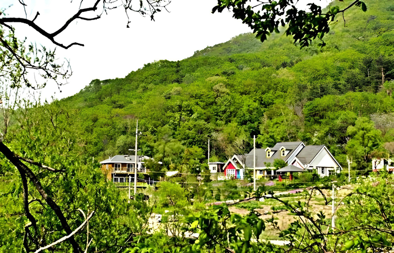 Others 5, Gangwon Gombaeryeong Evergreen, Inje