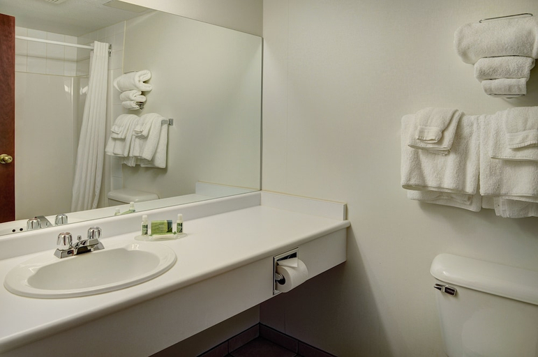 Bathroom, Lakeview Inns & Suites Fort Saskatchewan, Division No. 11