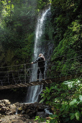 Hiking 5, Hotel El Rey Monteverde Downtown, Puntarenas