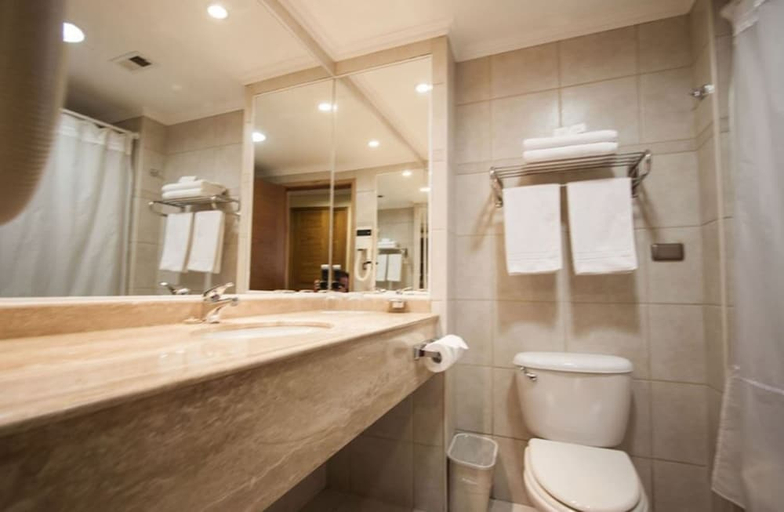 Bathroom, Diego De Almagro Rancagua, Cachapoal