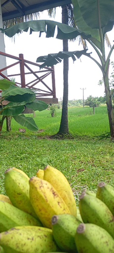 Garden 5, Serene Rajarata, N. Palatha Central