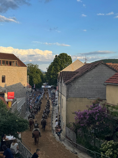 Others 5, Pojta - sobe za najam, Sinj