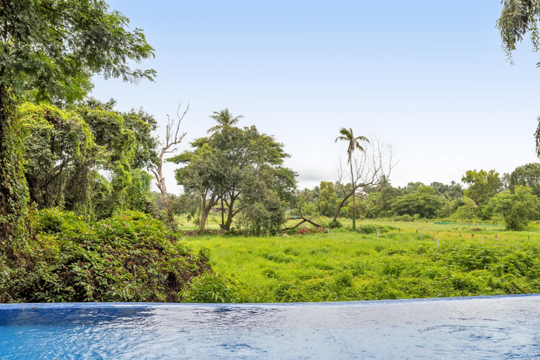 Others 5, Quaint Picturesque -2 bHK apartment in Candolim, North Goa