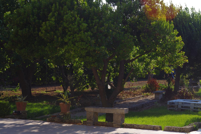 Others 2, b&b verde salento, Lecce