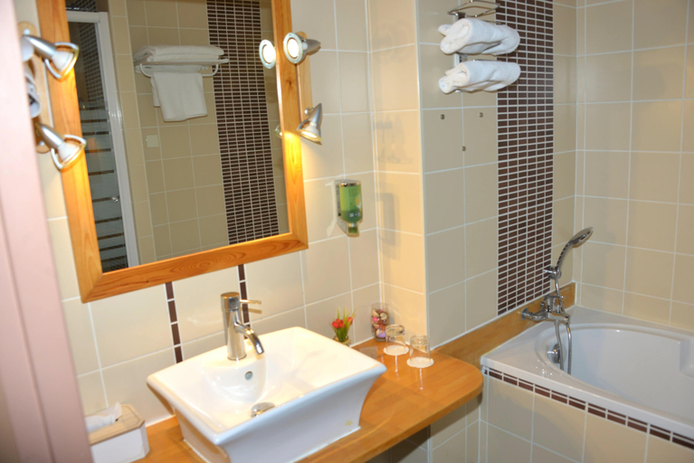 Bathroom 3, Best Western Golf d'Albon, Drôme