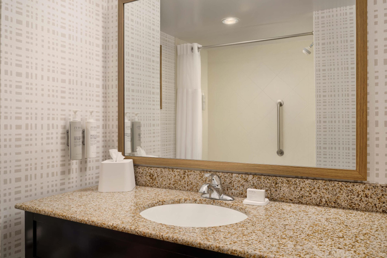 Bathroom 4, Hampton Inn Thomson, McDuffie