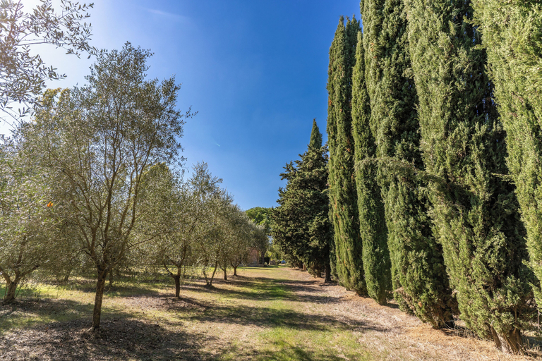 Tennis court 5, AWESHOMEITALY - VILLA SAN MARTINO, Pisa