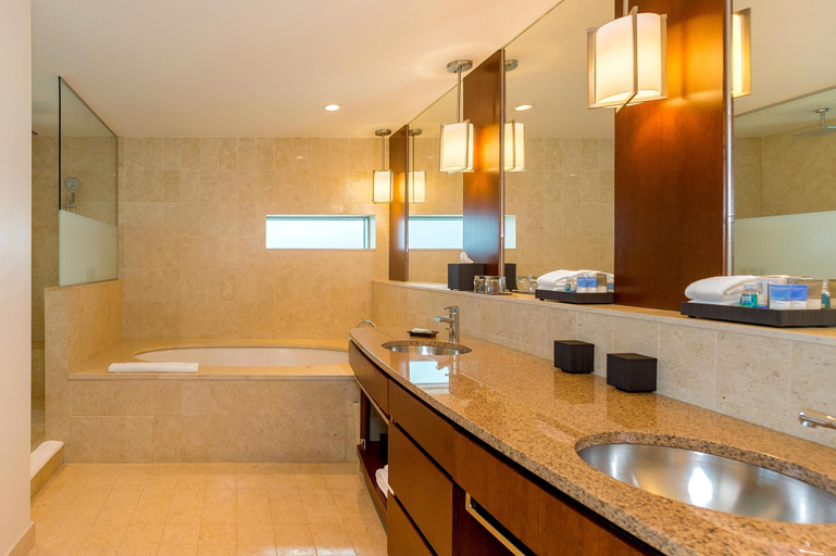 Bathroom 5, Hyatt Regency Trinidad