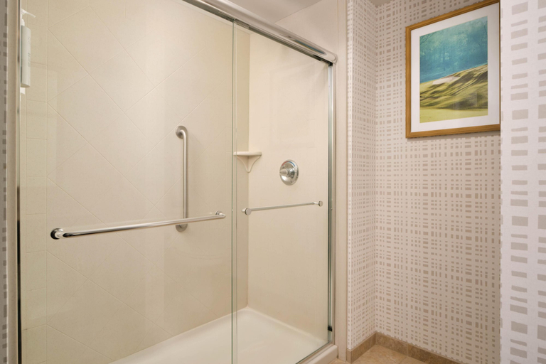 Bathroom 4, Hampton Inn Thomson, McDuffie