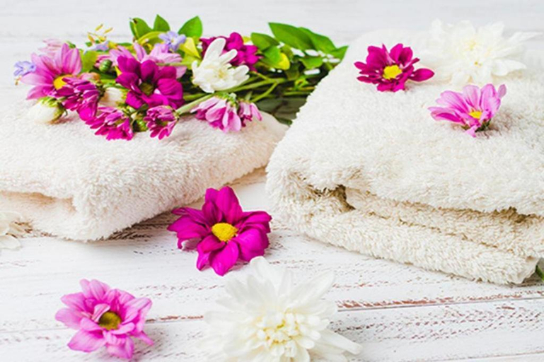Sport & Beauty, Pragati Green Meadows and Resort, Ranga Reddy