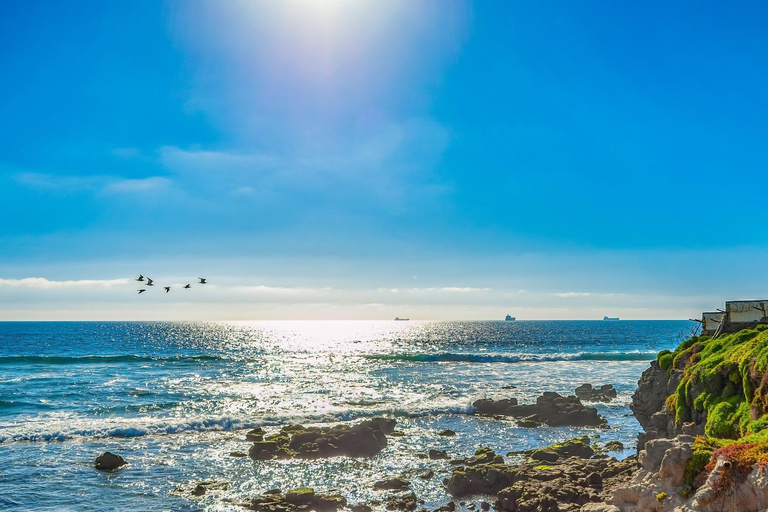Others 5, Dog-Friendly Suite with Beach Views, Outdoor Pool, Patio, Kitchenette, & AC, Tijuana