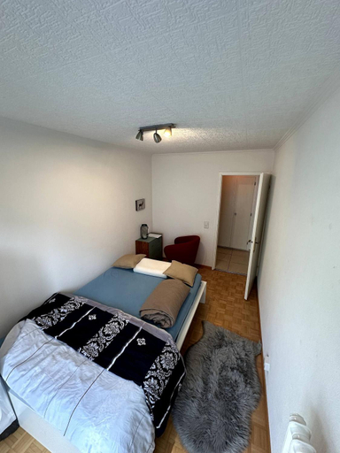 4, Furnished Apartment in Baden, Baden