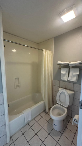 Bathroom 3, The Executive Inn & Suites, Brazoria