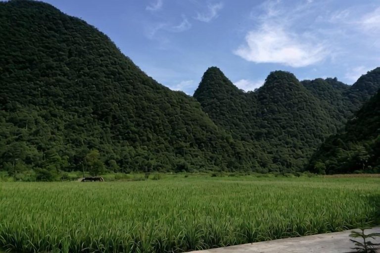 Others 4, Libomaolan Shengyuan Nongjiale, Qiannan Buyei and Miao