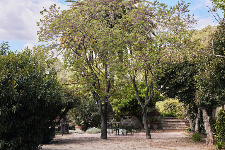Others 5, Mas Palou, Barcelona