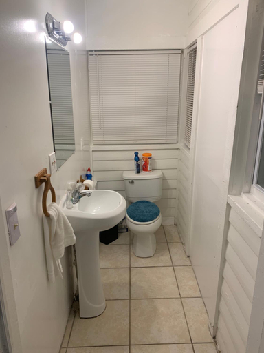 Bathroom 2, Lenny's Southy Hostel, Pinellas