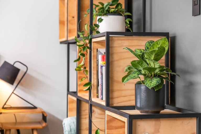Interior 4, Garden Studio 107, City of Cape Town