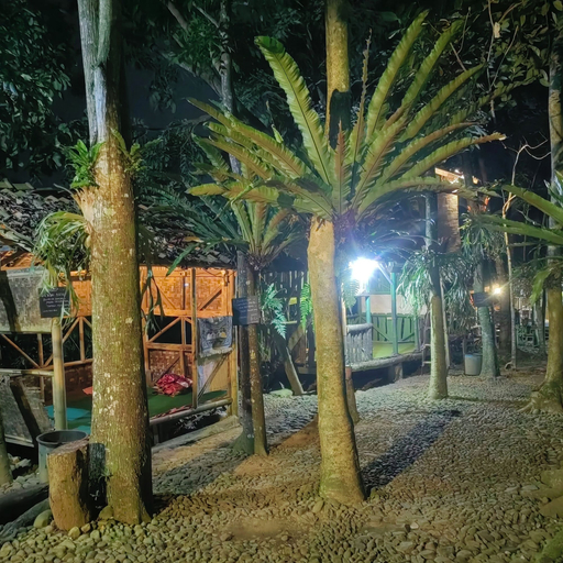 Primary image