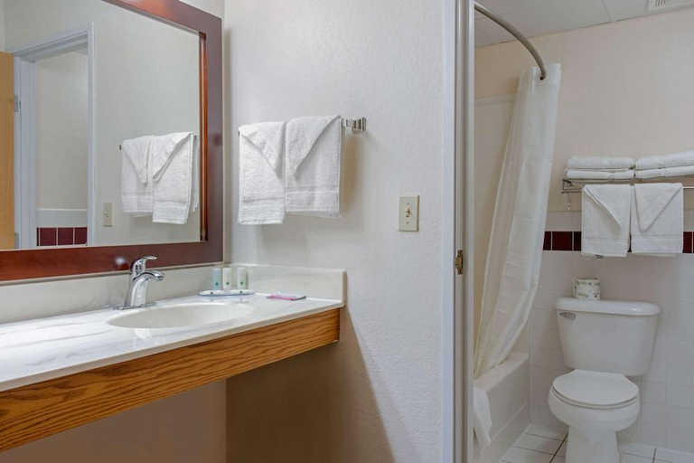 Bathroom 4, New Prague Inn & Suites, Le Sueur