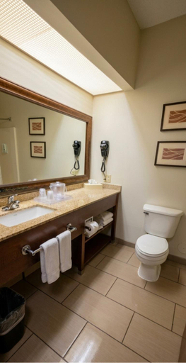 Bathroom 3, Quality Inn & Suites near St. Louis and I-255, Saint Clair