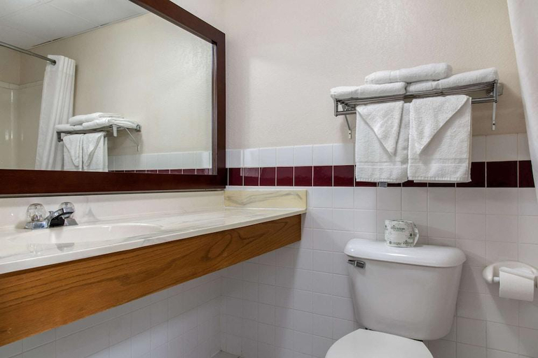 Bathroom 4, New Prague Inn & Suites, Le Sueur