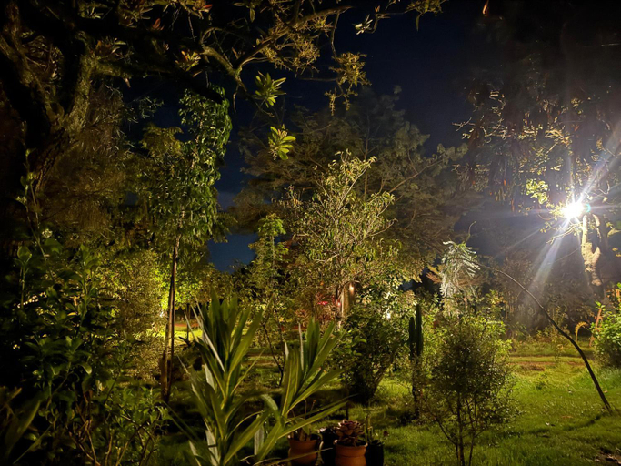 Others 5, Podocarpus Cottages -02, Kieni